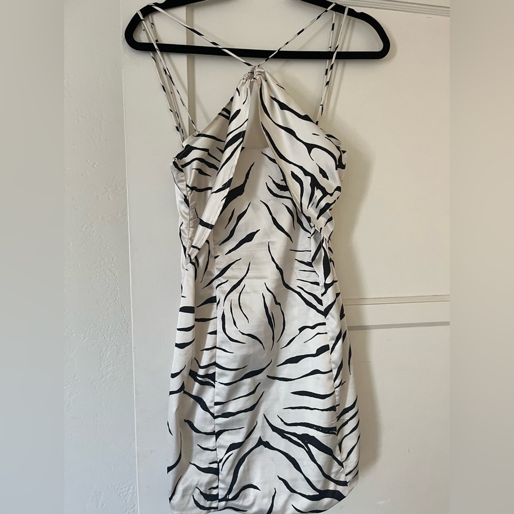 Zara dress!
